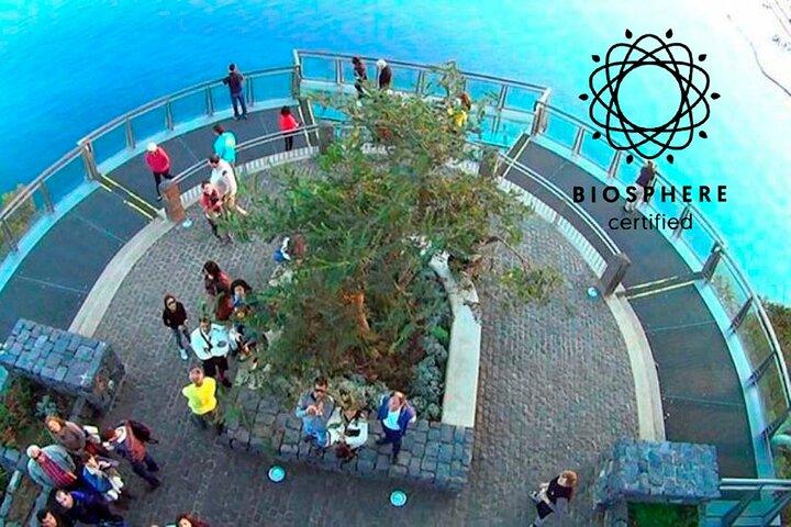 Skywalk, vistas incríveis e degustação de vinhos no telhado aberto 4x4 aventura