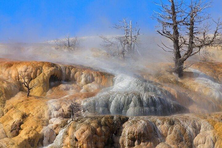 Il meglio del tour di un'intera giornata al Parco Nazionale di Yellowstone da Bozeman