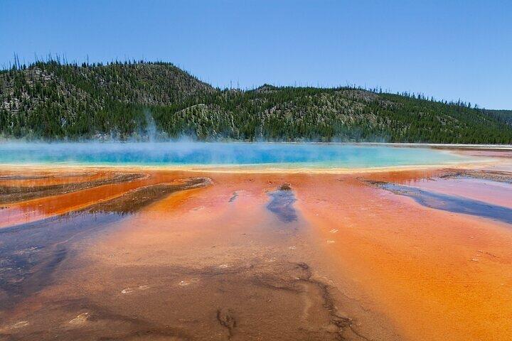 Il meglio del tour di un'intera giornata al Parco Nazionale di Yellowstone da Bozeman