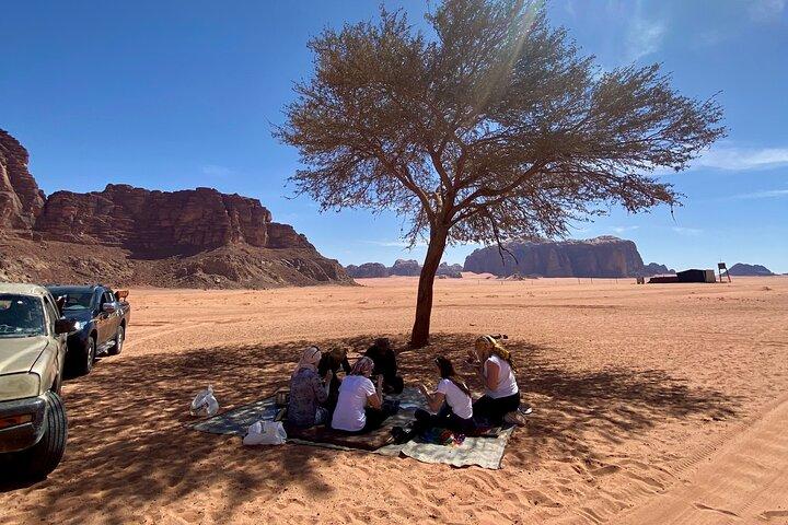 Heldags privat jeeptur i Wadi Rum