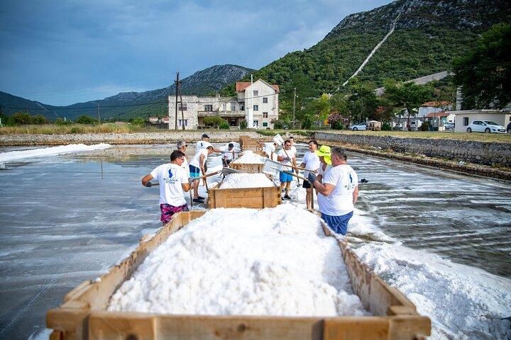 Wine tour peninsula Pelješac