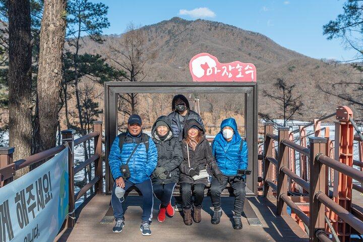 限定プライベート DMZ ツアー & 戦争記念館または吊り橋 (ショッピングなし)