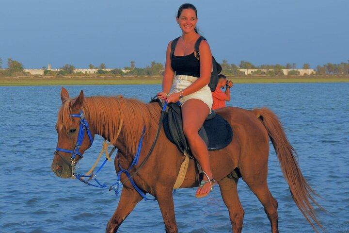Esplorare Djerba in cammello e a cavallo