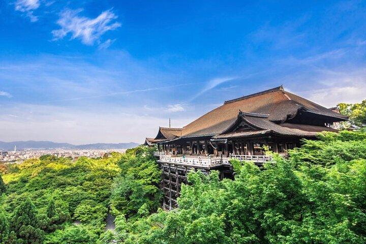 英語を話すドライバーによる京都、大阪、奈良の 1 日ツアー