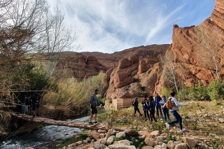 Dades Gorge-Monkey Finger's Canyon Escursione a Boumalne Dades