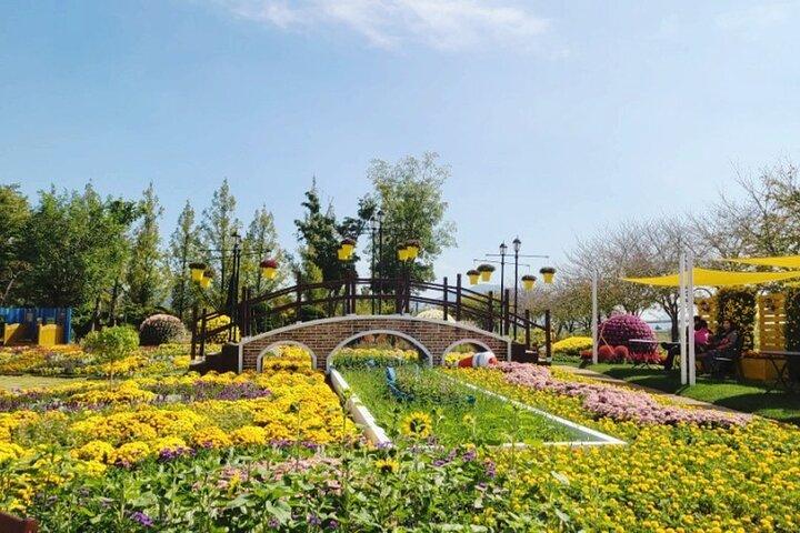 Boseong-theeplantage en nationale tuin Suncheon [trein + bus]