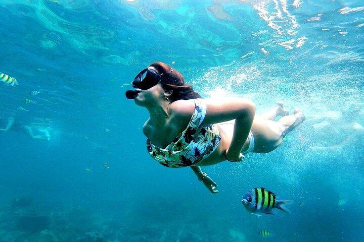 Desde Phuket: visita de día completo a las islas Phi Phi, Maya y Bamboo