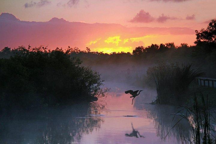 Everglades National Park: Self Guided Driving Audio Tour