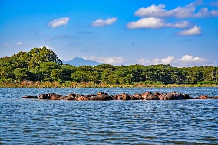 2-Day Hell's Gate, Crescent Island and Nakuru - Private Safari