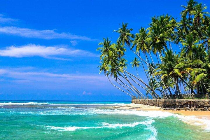 All inclusive Galle Tour and River Boat Safari from Colombo
