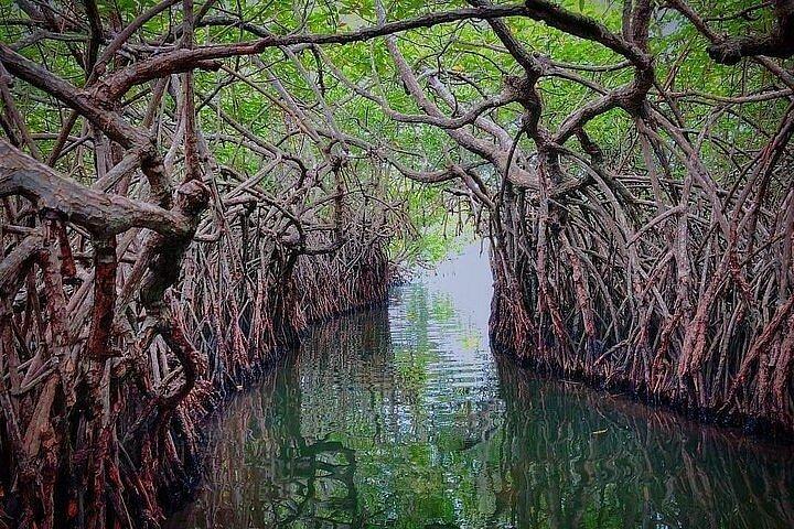 All inclusive Galle Tour and River Boat Safari from Colombo