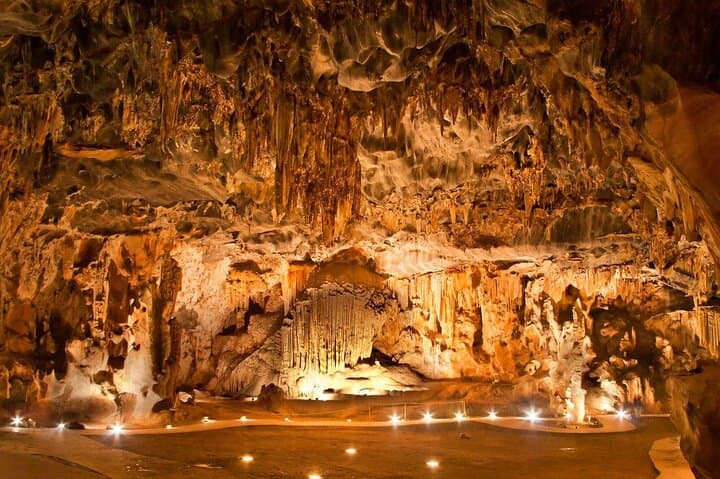 2 Day Small Group Garden Route Big 5 Safari Tour from Cape Town