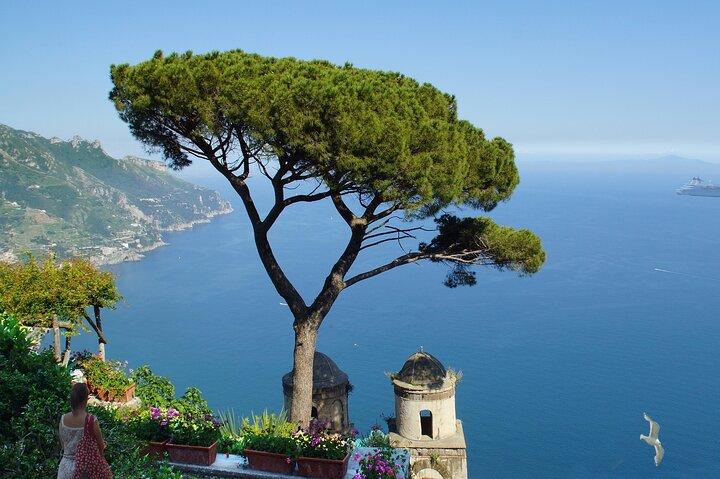 Vanuit Castellabate : Amalfi Coast tour (Ravello + Amalfi + Positano)