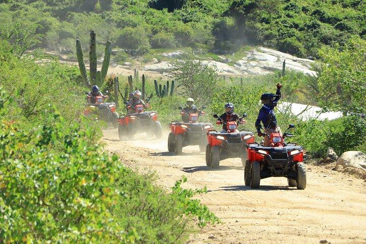 ATV-Tour, Kamelritt, Tequila-Verkostung und mexikanisches Mittagsbuffet