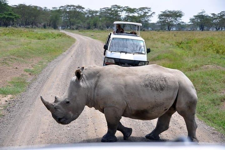 2 days Aberdare National Park Luxury Lodge Safari