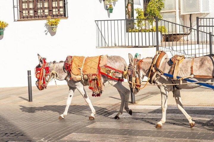 Entdecken Sie das Beste von Mijas Private Guided Tour
