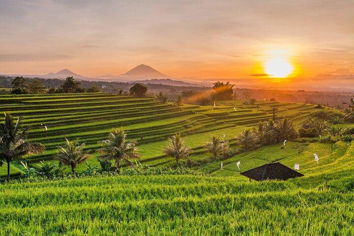 Ad ovest di Bali: Bedugul, Jatiluwih Rice Terrace e Tanah Lot Temple