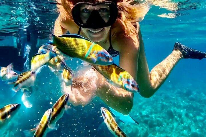 Tour en Barco Tropea y Capo Vaticano con Snorkeling. Hasta 12 invitados