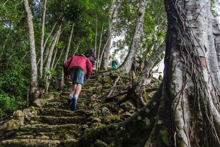 Excursão privada de meio dia ao coração da civilização maia em Belize