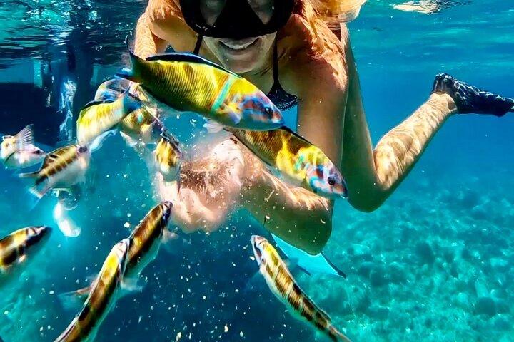 Tropea. Votre excursion privée en bateau de luxe. 10 personnes maximum. TOP !