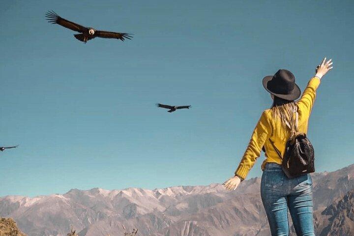 Private tour Chonta Condor Viewpoint from Cusco