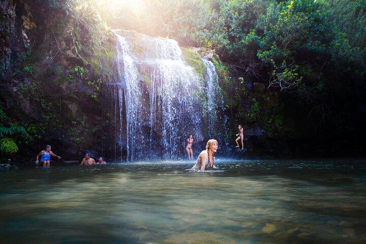 Tour a isola e immersione di Big Island Kohala da Kona