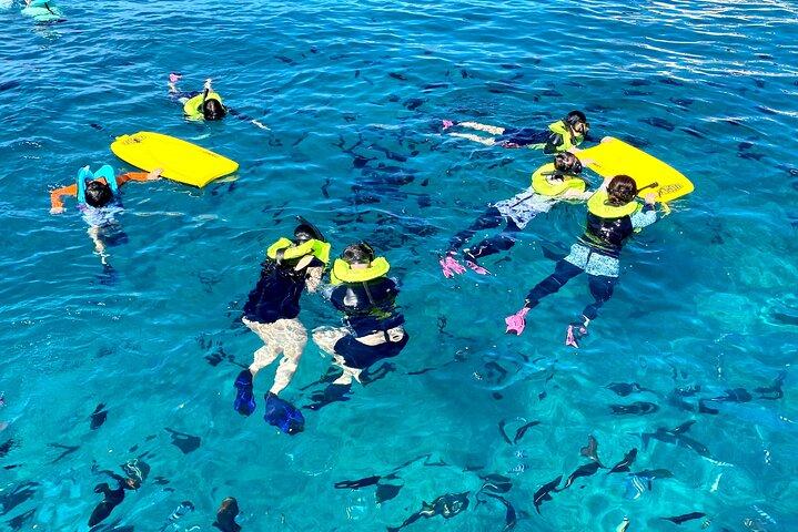 Waikiki Turtle snorkling eventyr (8:00)