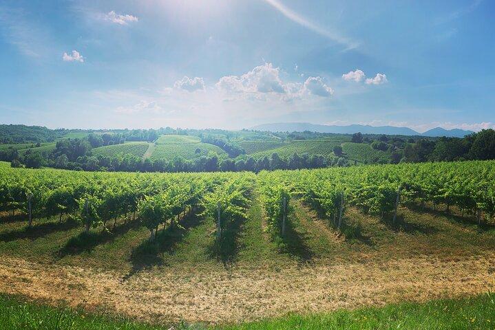 Aventura en las colinas de Prosecco