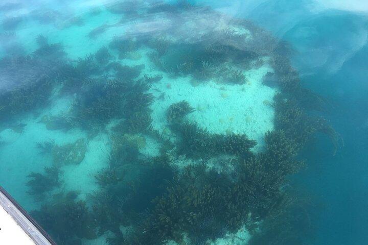 Crucero en barco con fondo de cristal de las Bermudas