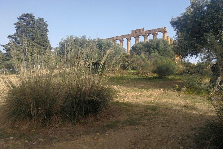 Excursiones privadas a Segesta, Erice y cata de vinos en Marsala