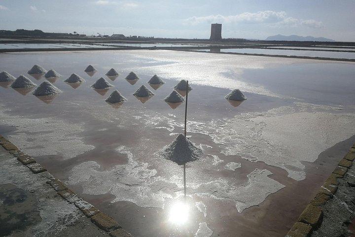 カステッランマーレからセジェスタ、エリチェ、サリーネ トラパニへのプライベート ツアー