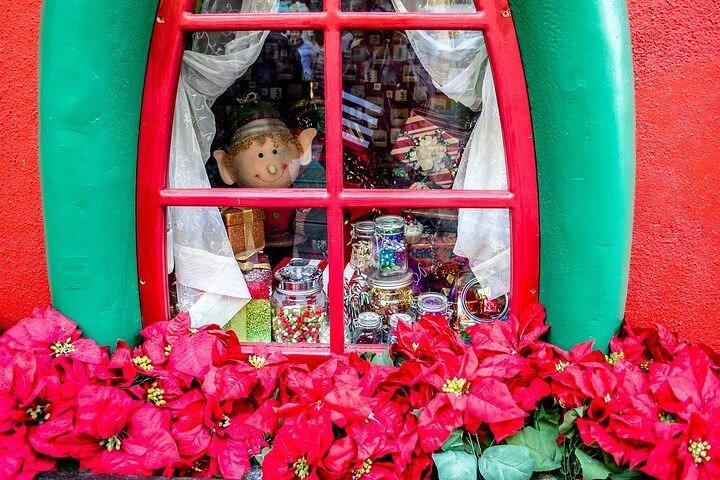 ニューヨーク クリスマスライトプライベートツアー：ロックフェラー、第五大道