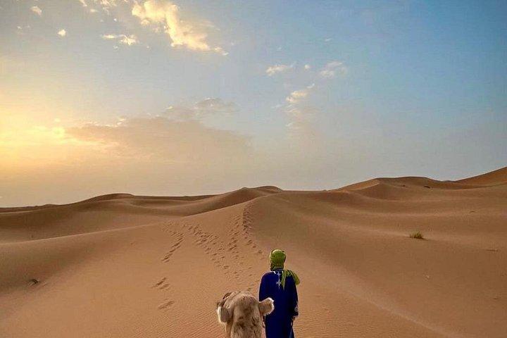 Overnight Desert Camp