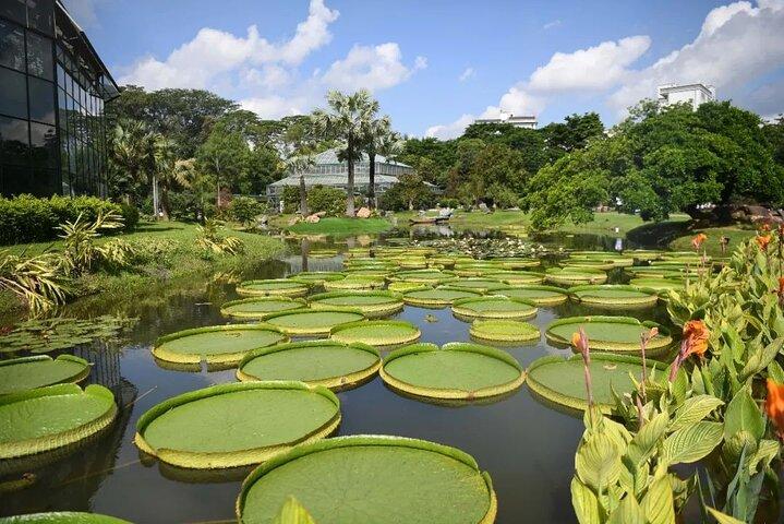 Guangzhou South China National Botanical Garden Private Tagestour