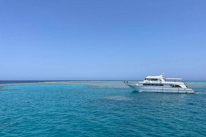 Excursion d'une journée complète de plongée en apnée aux îles Hamata et Qulaan