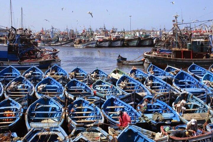 Van Marrakech: dagexcursie naar de stad Essaouira
