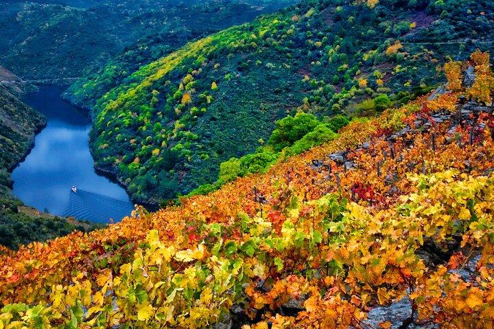 Descubriendo la Belleza de Ribeira Sacra: Un Tour Privado