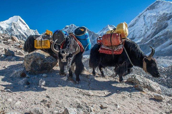 14 Days Private Tour Everest Base Camp Trek