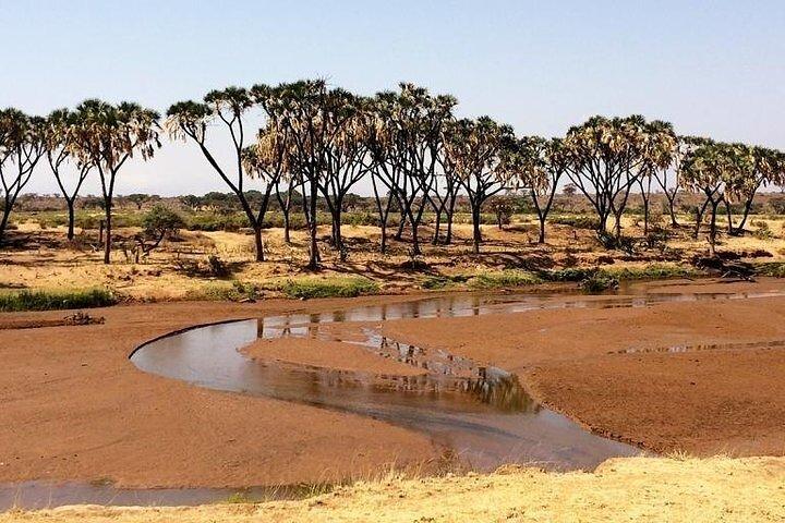 6-daagse Samburu Sweetwaters Lake Nakuru en Lake Naivasha Tour