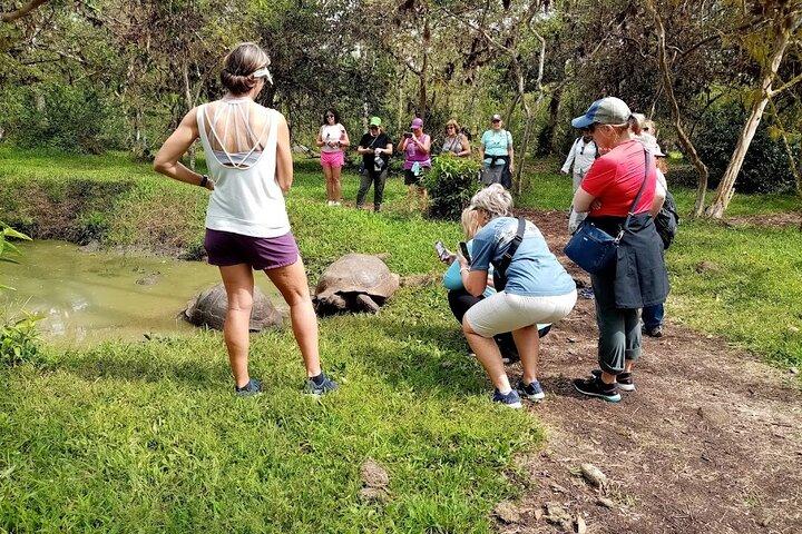 Galapagos fortryllende 3 øer (5 dage)