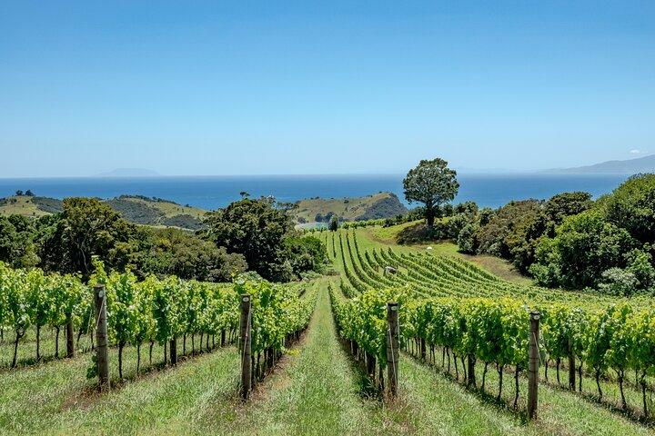 5 hours Far End of Waiheke Scenic Wine Tour in Electric Vans