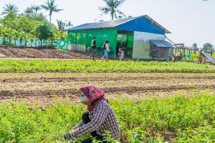 Middag kookcursus en dorpstour in Siem Reap