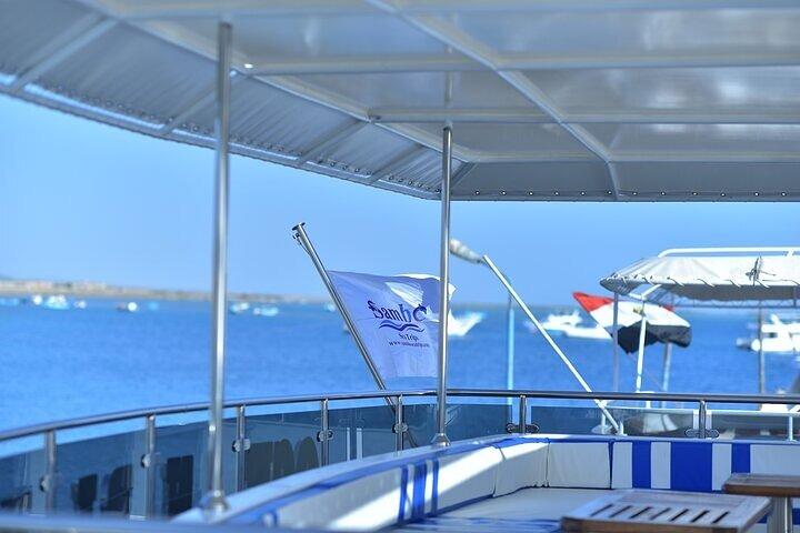 Plongée en apnée avec des dugongs et des tortues sur Marsa Mubarak