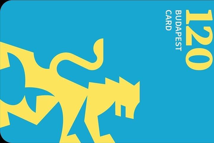 Budapest Card: Transporte público gratuito, spa e museus com entrega