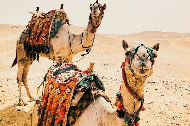 Lyxig 5 dagars ökentur från Marrakech 2025