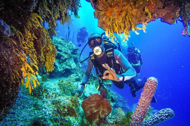 Duikavontuur op het Punta Cana-rif Ontdek onderwaterwonderen