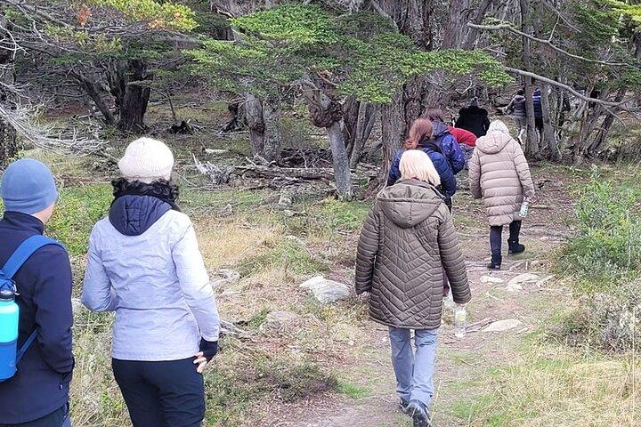 Circuito naturale e gastronomico di Tolhuin in 4x4 da Ushuaia