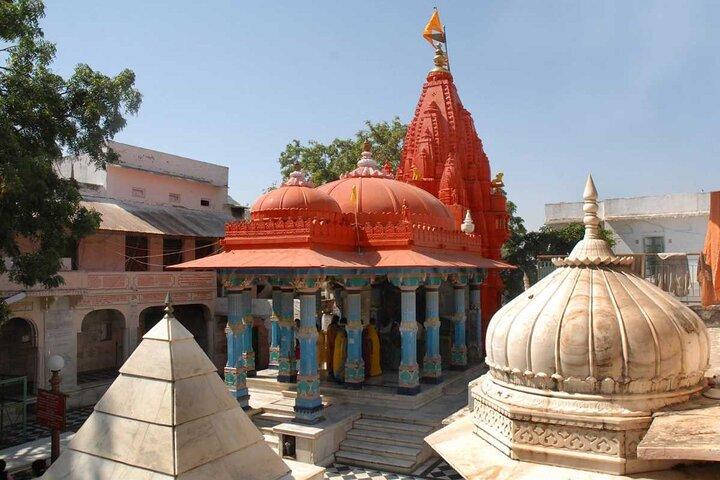 Privater Tagesausflug von Jaipur nach Pushkar