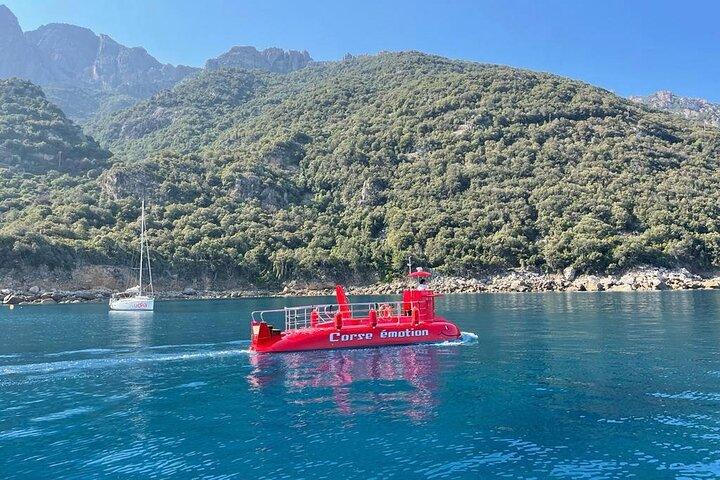 Semi-submarine: visit to the seabed of Porto Bay
