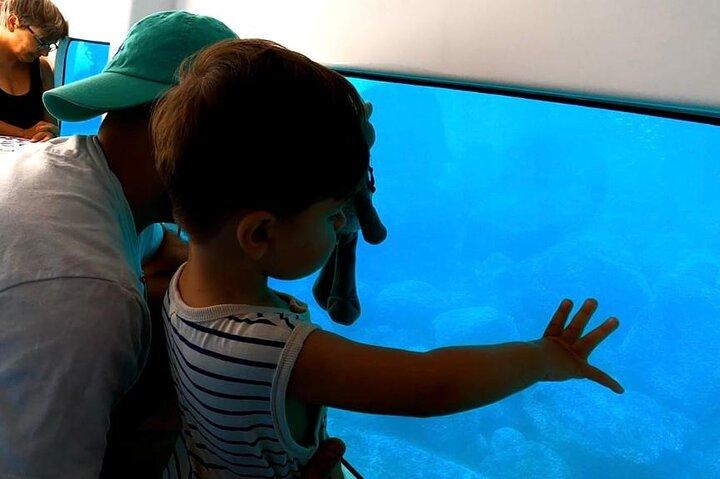 Semi sous-marin : visite des fonds marins de la baie de Porto